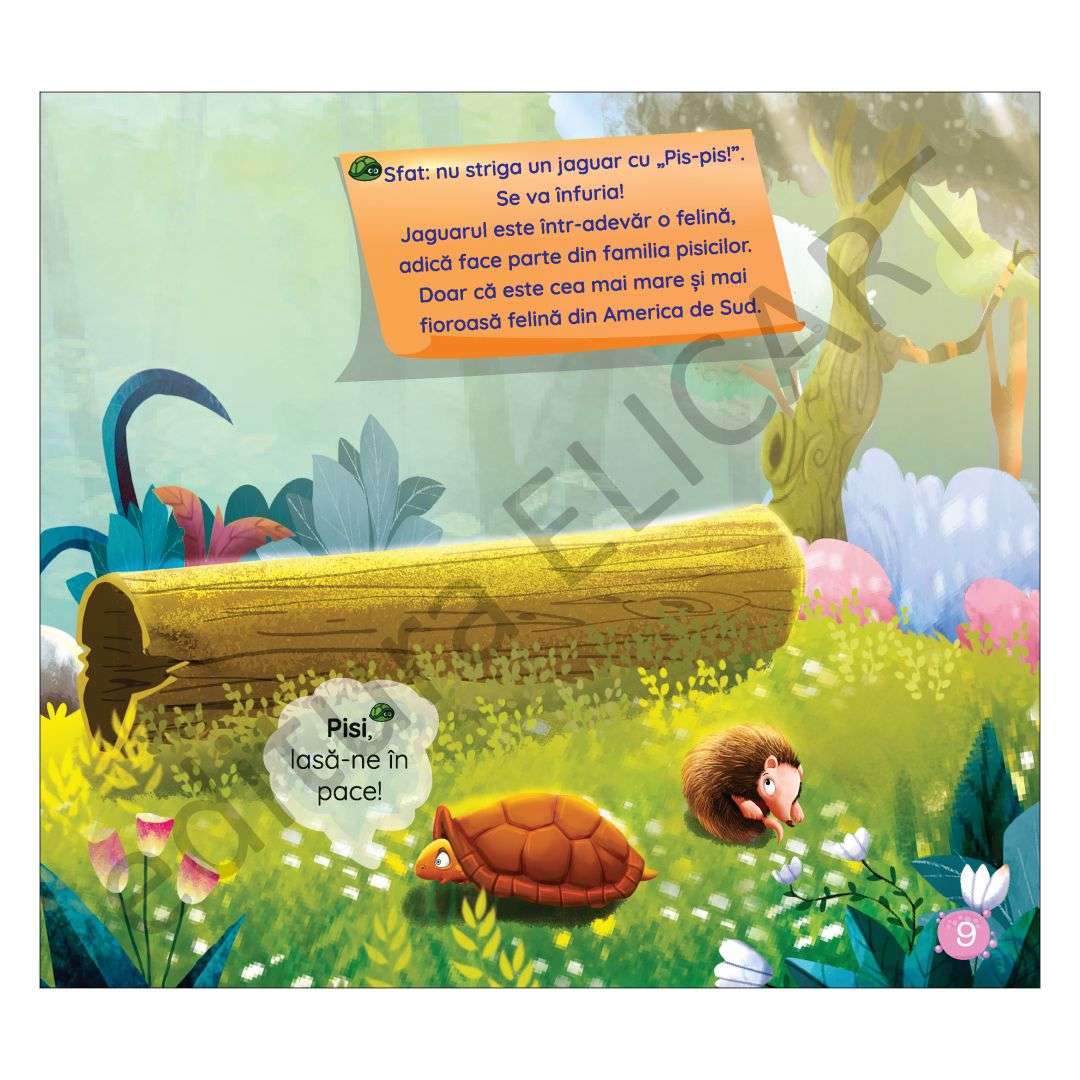 Ce este un armadillo și cum a apărut pe lume