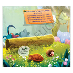 Ce este un armadillo și cum a apărut pe lume