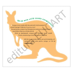 De ce are cangurul coada atât de puternică