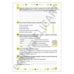 Fișe de recapitulare și evaluare finală clasa 4