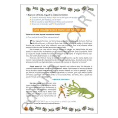 Lecturi de vacanță clasa 4