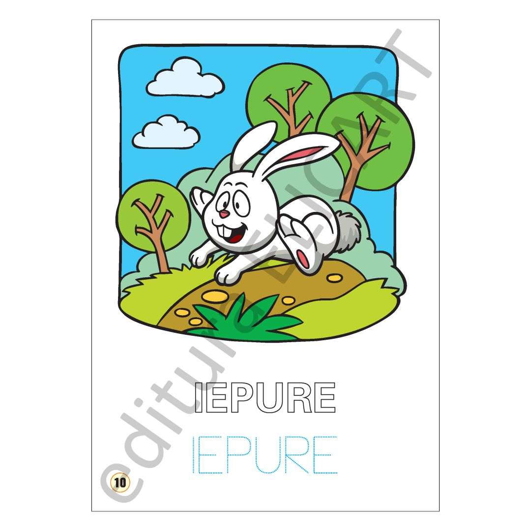 Limba engleză - animale din pădure