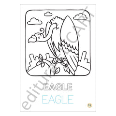 Limba engleză - păsări