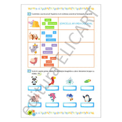 Supercaietul meu de vacanță pentru clasa pregătitoare