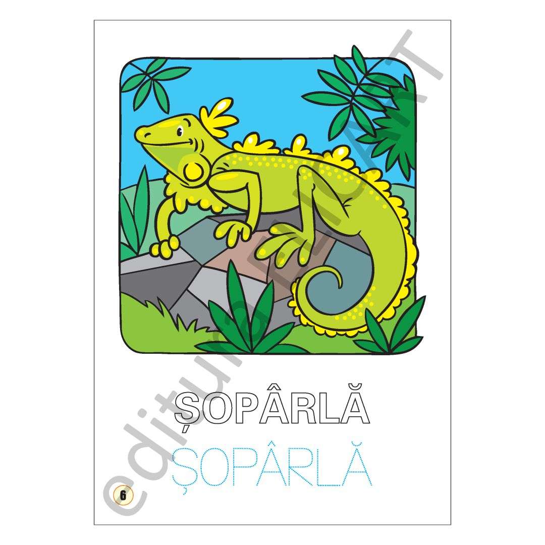 Limba engleză - reptile și animale marine