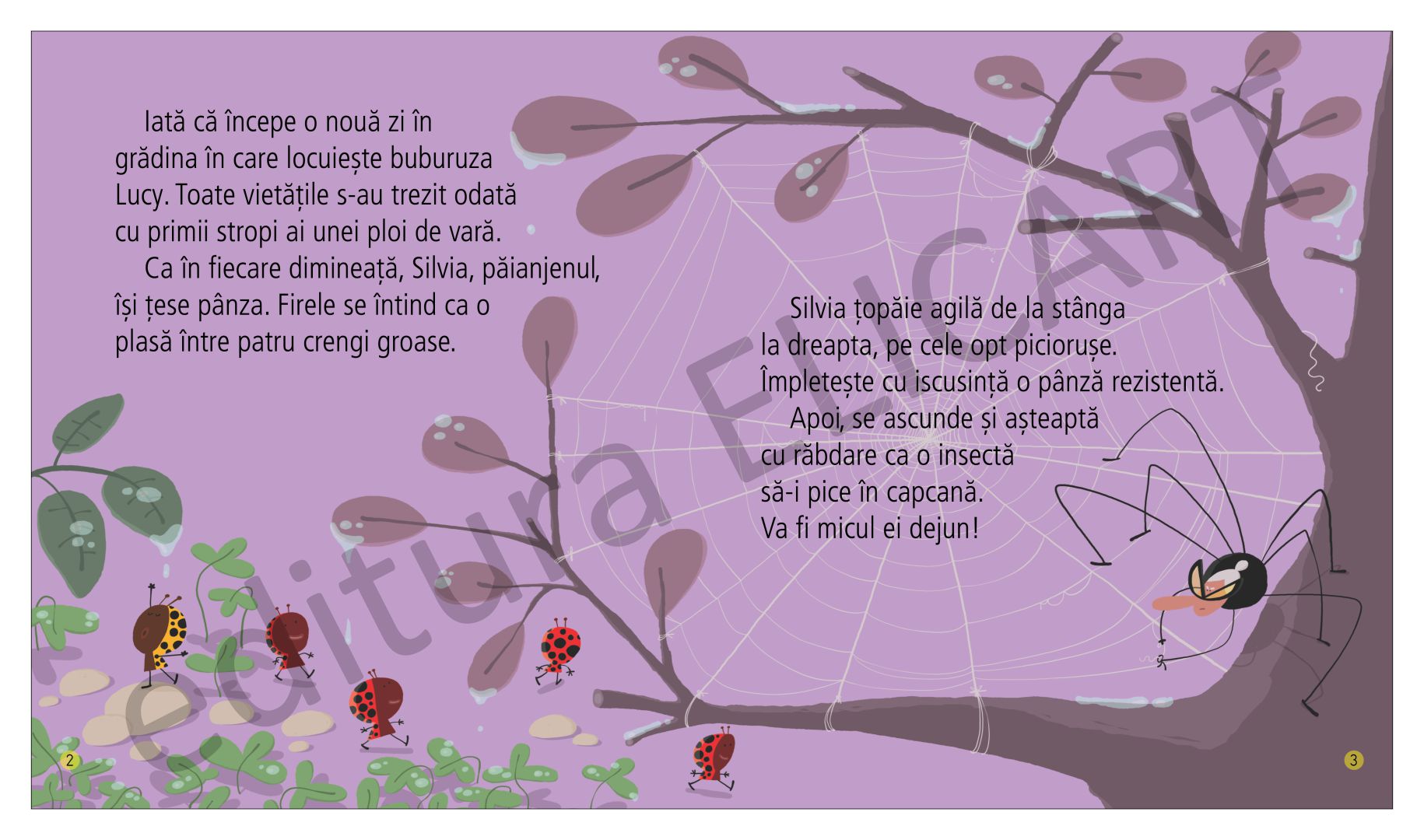 Un paianjen foarte priceput